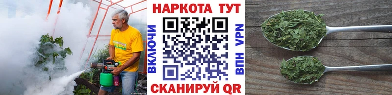 Купить наркотик аптеки Игра APVP  МАРИХУАНА  Меф мяу мяу  Гашиш  Cocaine 