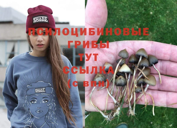 не бодяженный Нязепетровск