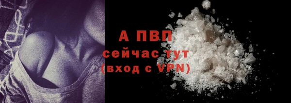 гашик Осинники