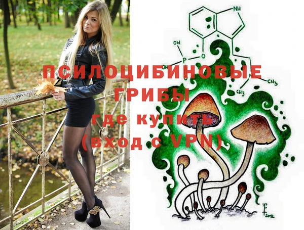 синтетический гашиш Няндома