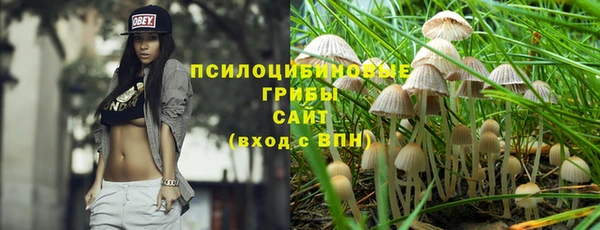 ГАЛЛЮЦИНОГЕННЫЕ ГРИБЫ Нягань