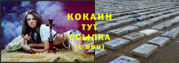 спиды Аша