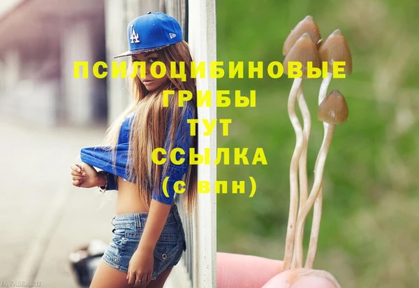 синтетический гашиш Няндома
